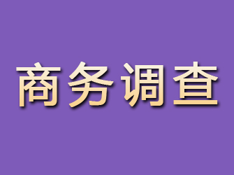 长安商务调查